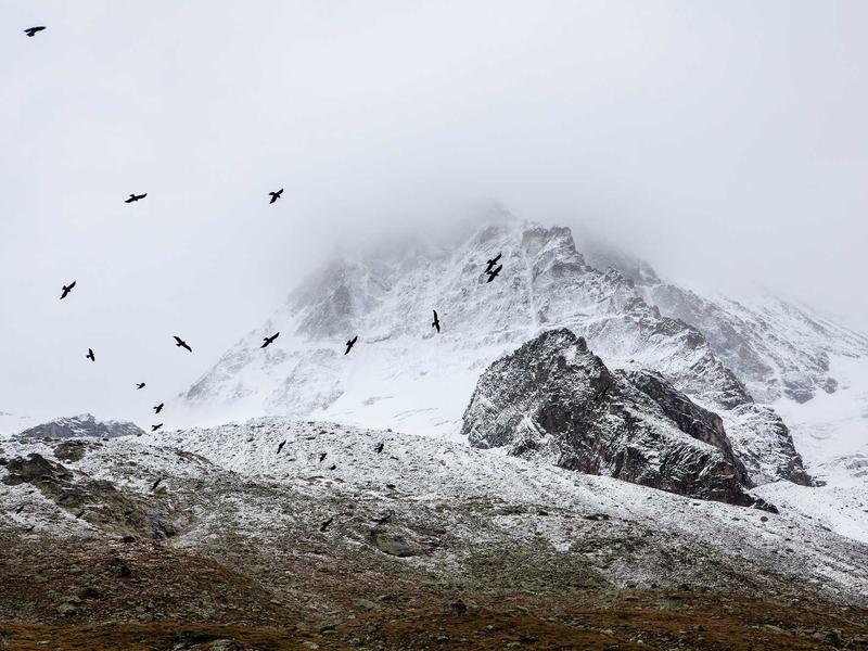 sudoku numbrix screenshot 2